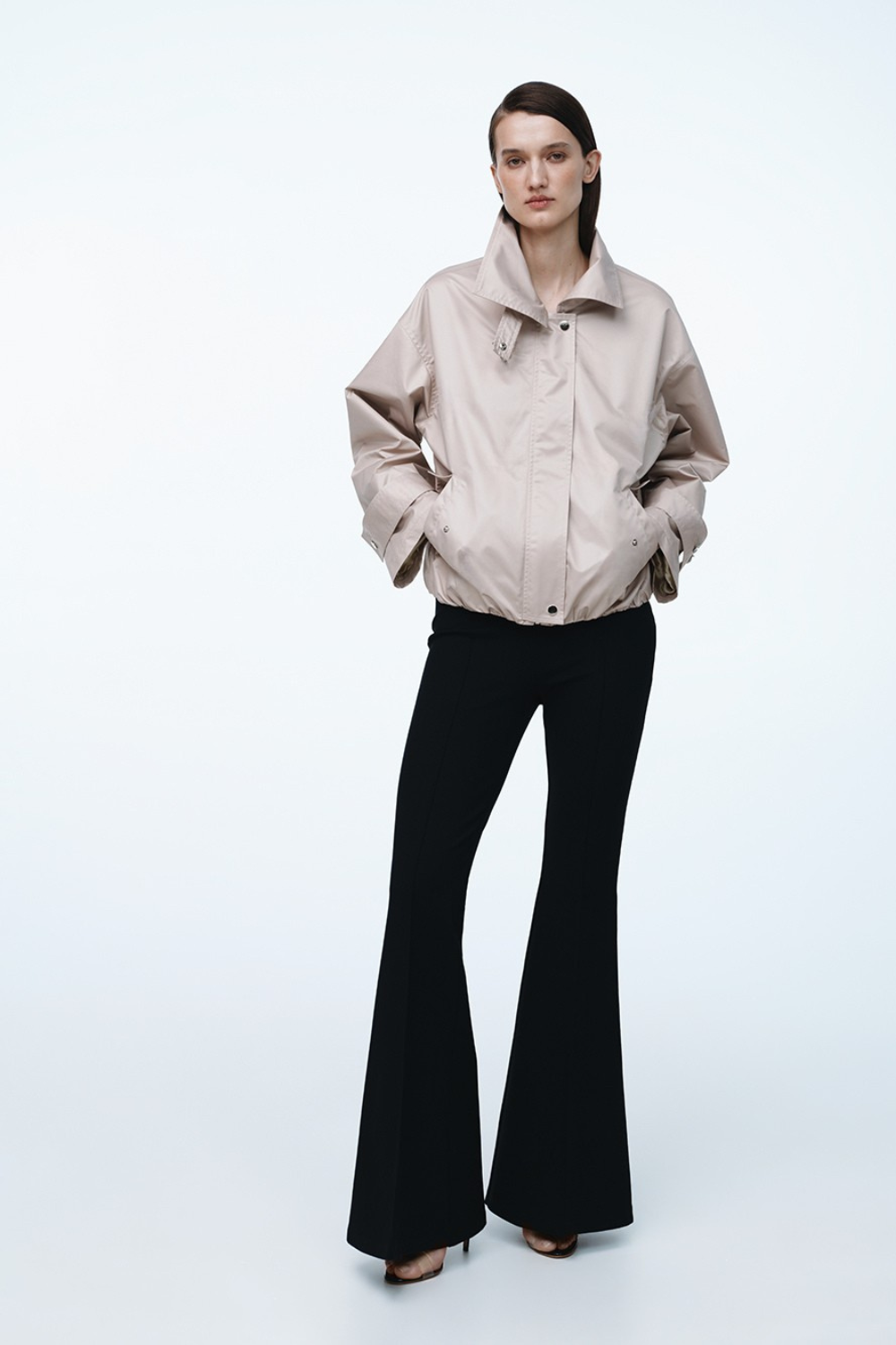 Ветрівка сіра